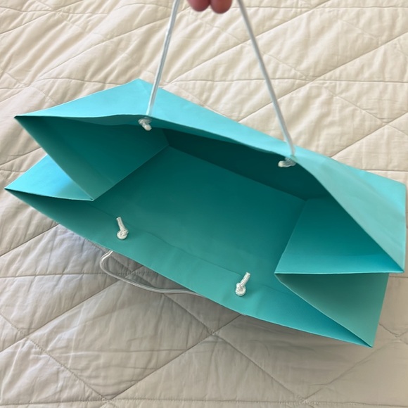 Tiffany & Company Shopping Gift Bag tote - Picture 11 of 16